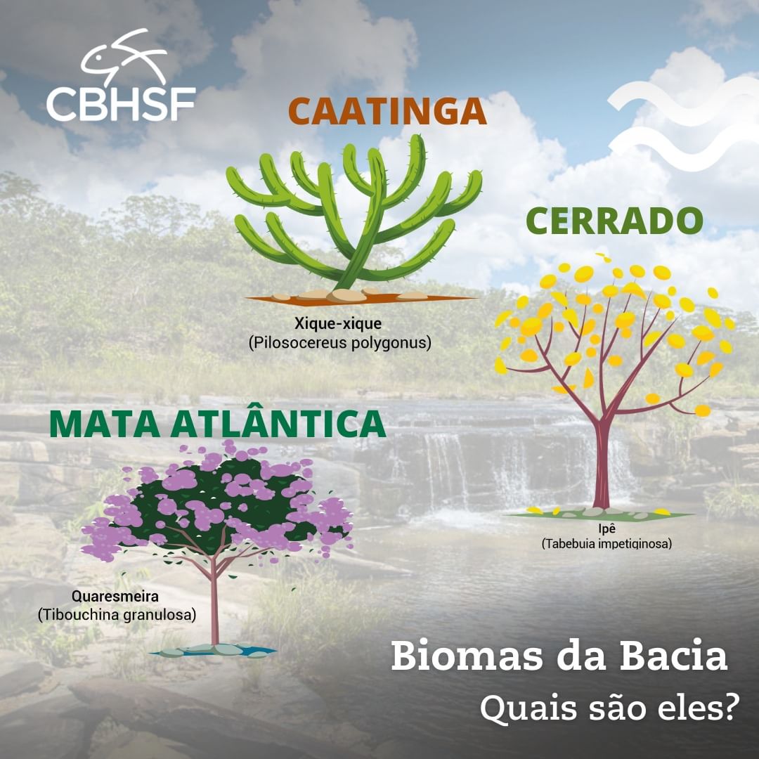 Biomas 1