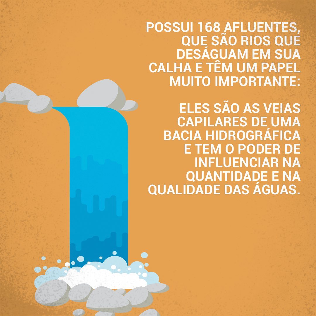 O Rio 5