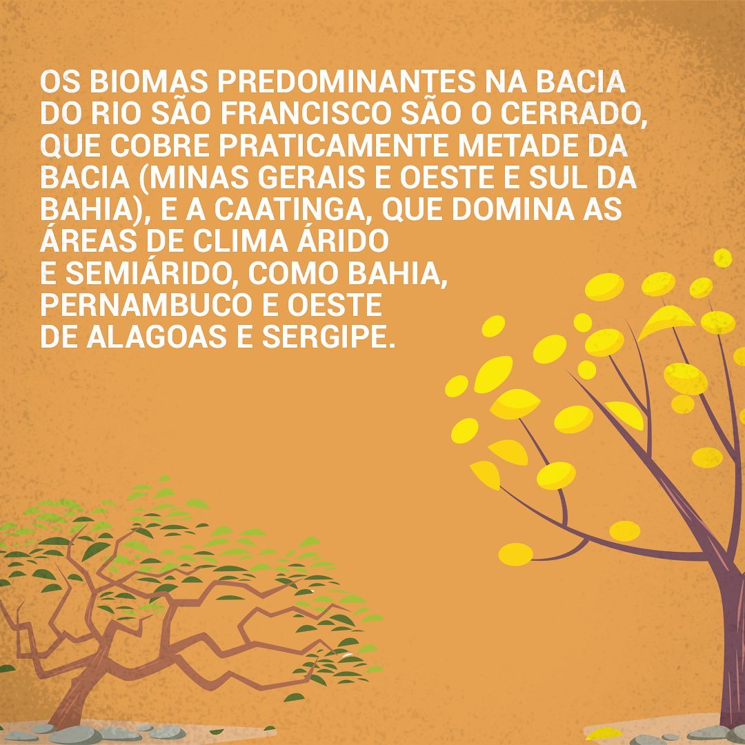 O Rio 7