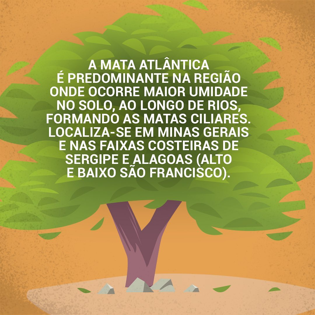 O Rio 8